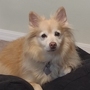 Fundraising Page: Jenny Boniface